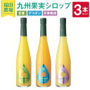 九州果実 シロップ セット （甘夏、デコポン、天草晩柑）500ml×3本（各1本） 果物 くだもの フルーツ 柑橘 割り材 酎ハイ ハイボール カクテル 福田農場 熊本県産 九州産 国産 送料無料