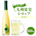 30位! 口コミ数「0件」評価「0」九州を飲む！九州果実シロップ カボス 500ml 1本 果実 シロップ 果汁 柑橘 はちみつ ハチミツ 焼酎 送料無料