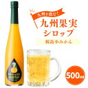 九州を飲む！九州果実シロップ 桜島小みかん 500ml 1本 果実 シロップ ミカン オレンジ みかん 果汁 希少 はちみつ ハチミツ 桜島 送料無料