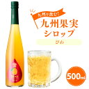 【ふるさと納税】九州を飲む！九州果実シロップ びわ 500ml 1本 果実 シロップ フルーツ 果汁 はちみつ ハチミツ 送料無料