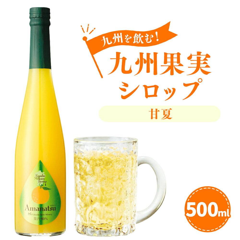 【ふるさと納税】九州を飲む！ 九州果実シロップ 甘夏 500