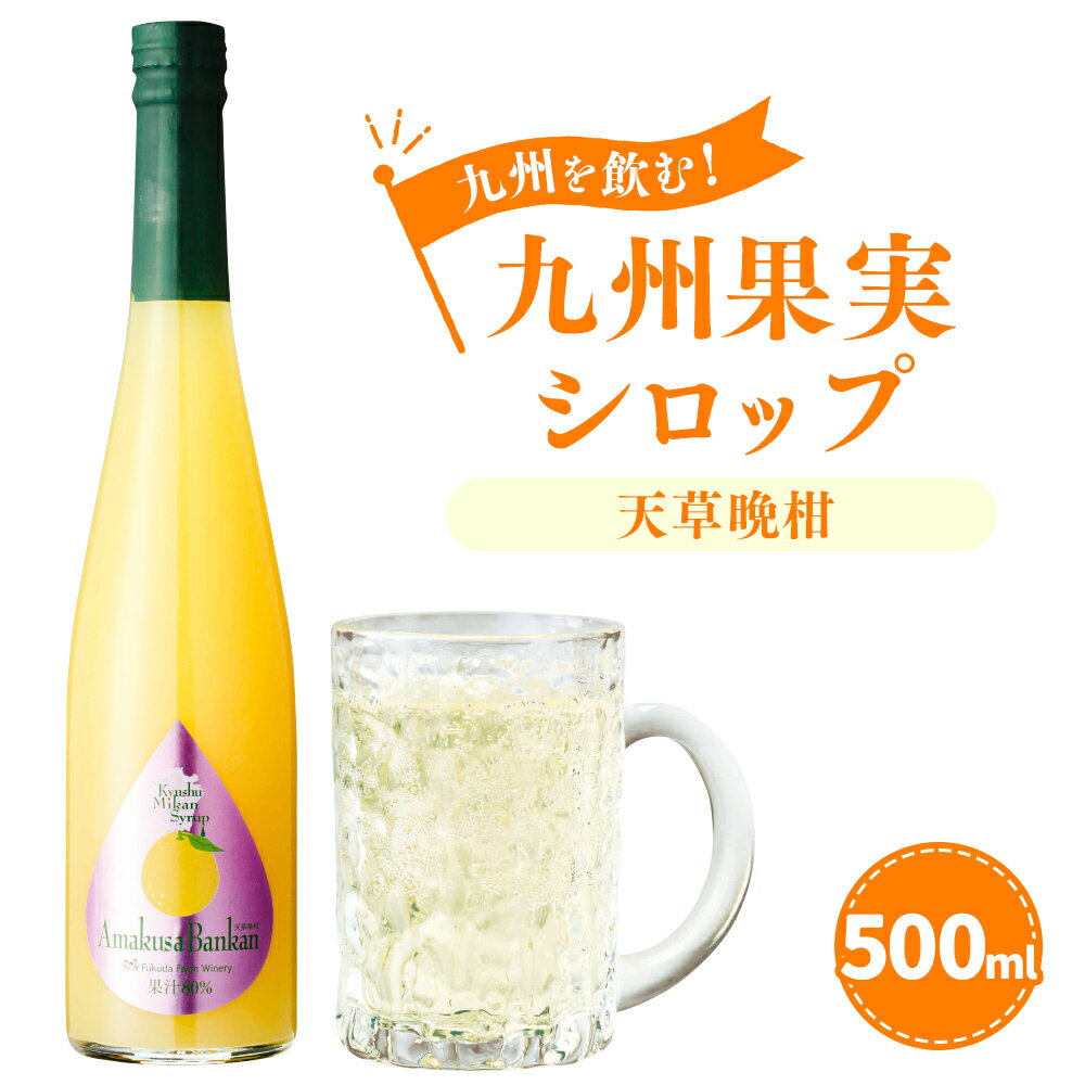 九州を飲む! 九州果実シロップ 天草晩柑 500ml 1本 晩柑 河内晩柑 グレープフルーツ 柑橘 果実 シロップ 果汁 はちみつ ハチミツ 国産 九州 熊本県 送料無料