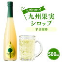 九州を飲む！ 九州果実シロップ 平兵衛酢 500ml 1本 へべす ヘベス 香酸柑橘 柑橘 果実 シロップ 果汁 はちみつ ハチミツ 国産 九州 送料無料