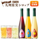 【ふるさと納税】【3ヶ月定期便】 九州を飲む! 毎月届く九州果実シロップ 合計1.5L 500ml×3回 定期便 デコポン あまおう 日向夏 柑橘 果実 シロッ...
