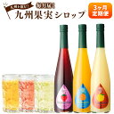 7位! 口コミ数「0件」評価「0」【3ヶ月定期便】 九州を飲む！ 毎月届く九州果実シロップ 合計1.5L 500ml×3回 定期便 デコポン あまおう 日向夏 柑橘 果実 シ･･･ 