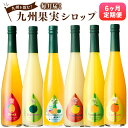 【ふるさと納税】【6ヶ月定期便】 九州を飲む!九州果実シロップ 合計3L 500ml×6回 合計6本 定期便 タンカン たんかん 甘夏 日向夏 カボス 柑橘 パ...