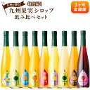 8位! 口コミ数「0件」評価「0」【3ヶ月定期便】 九州を飲む！ 毎月届く九州果実シロップ 飲み比べセット 合計4.5L 500ml×3本×3回 合計9本 定期便 あまおう ･･･ 