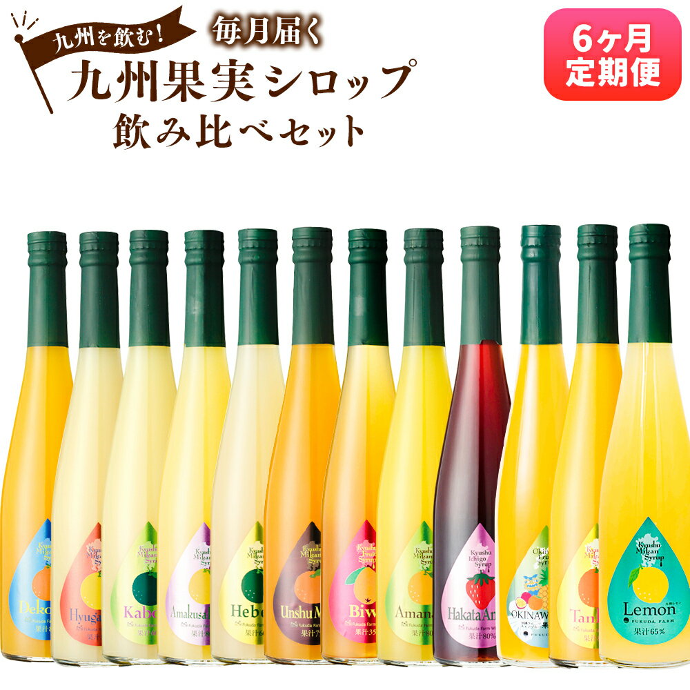  九州を飲む！毎月届く九州果実シロップ飲み比べセット 合計9L 500ml×3本×6回 合計18本 定期便 レモン タンカン あまおう 甘夏 びわ カボス デコポン みかん ヘベス 晩柑 日向夏 トロピカル フルーツ 南国 果実 果汁 国産 九州 送料無料