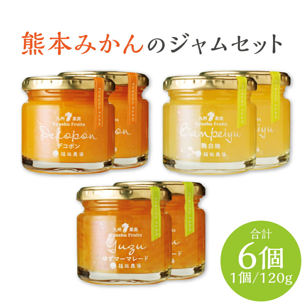 【ふるさと納税】熊本みかんのジャムセット 3種 6個 合計720g 1個120g 各2個 デコポン 甘夏 晩白柚 柑...