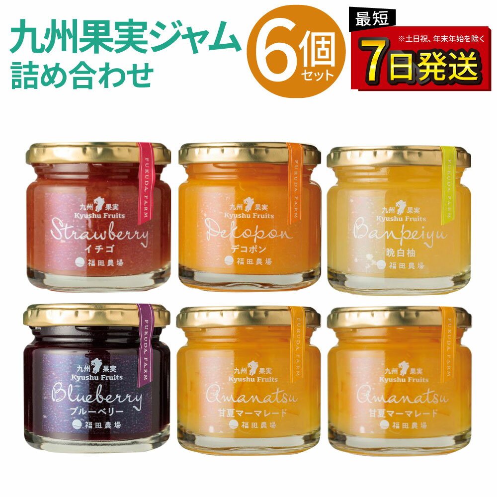 【ふるさと納税】九州果実ジャム 詰め合わせ 6個セット ( 甘夏 / ブルーベリー / いちご / デコポン / 晩白柚 ) | 5種 120g×6個 合計720g ジャム マーマレード 果物 フルーツ 柑橘 瓶詰 福田農場 熊本県産 九州産 国産 送料無料
