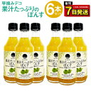 【ふるさと納税】果汁たっぷりのぽんす 早摘みデコ 6本 セット 300ml×6本 合計1800ml ぽんす 早摘み 青不知火みかん 果汁 柑橘 調味料 福田農場...