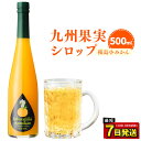 【ふるさと納税】九州を飲む!九州果実シロップ 桜島小みかん 500ml 1本 果実 シロップ ミカン オレンジ みかん 果汁 希少 はちみつ ハチミツ 桜島 年内発送 送料無料