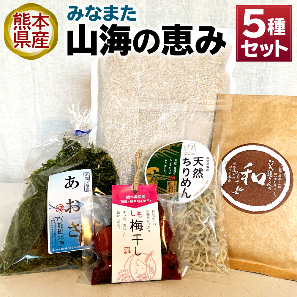 【ふるさと納税】みなまた 山海の恵みセット 5種類 詰め合わせ (棚田米・桜野ほうじ茶 和・乾燥アオサ海苔・天然ちりめん・久木野しそ梅干し) 棚田米 ヒノヒカリ ほうじ茶 あおさ海苔 ちりめん しそ梅干し 加工品 熊本県産 国産 九州産 送料無料