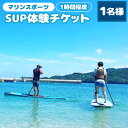 【ふるさと納税】ボード上に立って漕ぐマリンスポーツ『SUP』体験チケット 1名様 （1時間程度） チケット SUP スタンドアップパドルボード SUP体験 マリンスポーツ 利用券 体験券 海 アウトドア 熊本県 水俣市 九州 送料無料【2023年5月上旬発送開始】