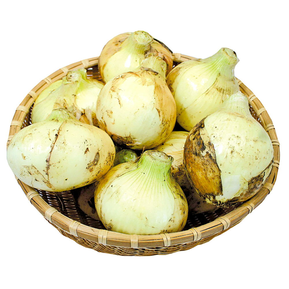 サラたまちゃん 10kg 30玉前後 玉ねぎ たまねぎ タマネギ 玉葱 オニオン 野菜 やさい ベジタブル サラダ 国産 九州産 熊本県産 水俣市産 送料無料 ふるさと納税バイブル サラたまちゃん 10kg 30玉前後 玉ねぎ たまねぎ タマネギ 玉葱 オニオン 野菜 やさい ベジタブル サラダ 国産 九州産 熊本県産 水俣市産 送料無料 ふるさと納税バイブル