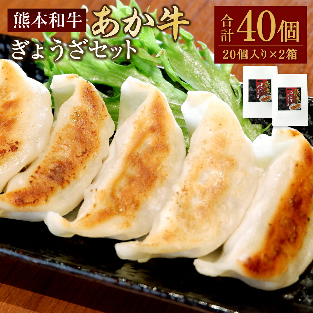 熊本和牛あか牛ぎょうざセット 熊本あか牛餃子 合計40個 20個入り×2箱 あか牛 あかうし 牛肉 お肉 肉 ぎょうざ ギョウザ 中華 点心 濃厚 肉汁 20個 2箱 国産 九州 熊本県 水俣市 送料無料