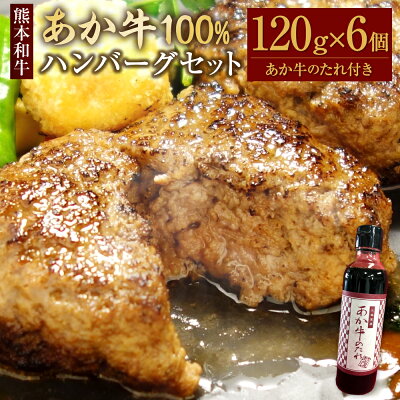 楽天ふるさと納税　【ふるさと納税】あか牛100％ハンバーグセット ハンバーグ 約120g×6個 あか牛のたれ付き 約200ml あか牛 あかうし 和牛 牛肉 お肉 肉 セット タレ 洋食 国産 九州 熊本県 水俣市 送料無料