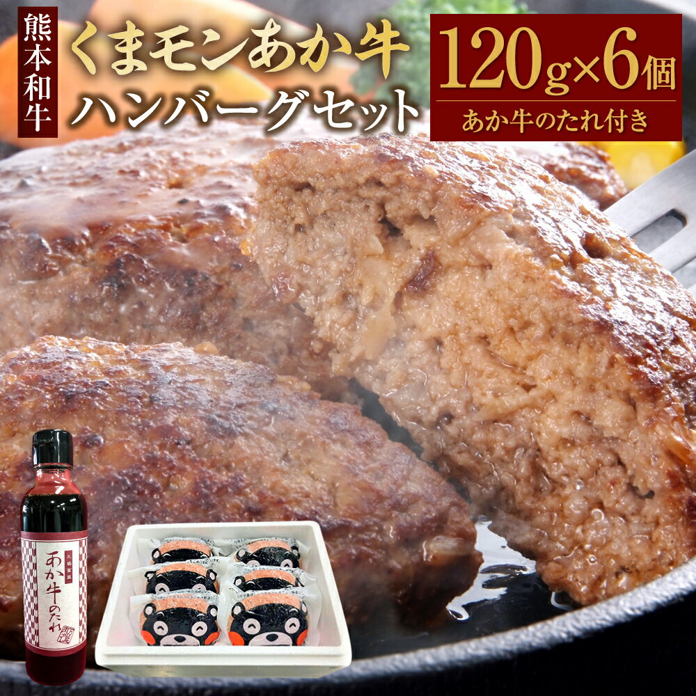 くまモン あか牛ハンバーグセット ハンバーグ 約120g×6個 あか牛のたれ付き 約200ml あか牛 あかうし 和牛 牛肉 お肉 肉 くまモンパッケージ セット タレ 洋食 国産 九州 熊本県 水俣市 送料無料