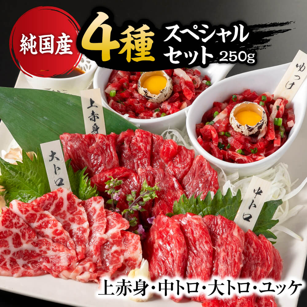 【ふるさと納税】純国産 馬刺し 4種 スペシャルセット 合計250g 上赤身 (50g) 中トロ (50g) 大トロ (50g) ユッケ (50g×2パック) 霜降り ゆっけタレ 馬刺し専用醤油 馬刺し 馬刺 霜降り 熊本名物 国産 冷凍 送料無料