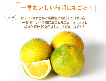 【ふるさと納税】環境マイスターの果汁100%スイートスプリングジュース 500ml×12本セット 合計6L ジュース ミカンジュース 飲み物 ドリンク ミカン 蜜柑 スイートスプリング オレンジ 無肥料 栽培期間中農薬不使用 食品添加物無添加 国産 九州産 熊本県水俣市産 送料無料