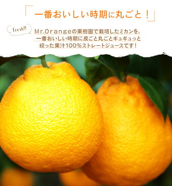 【ふるさと納税】環境マイスターの果汁100%しらぬいジュース 500ml×12本セット 合計6L ジュース しらぬい 不知火 ミカンジュース 飲み物 ドリンク ミカン オレンジ 蜜柑 無肥料 栽培期間中農薬を減らして栽培 食品添加物無添加 国産 九州産 熊本県水俣市産 送料無料