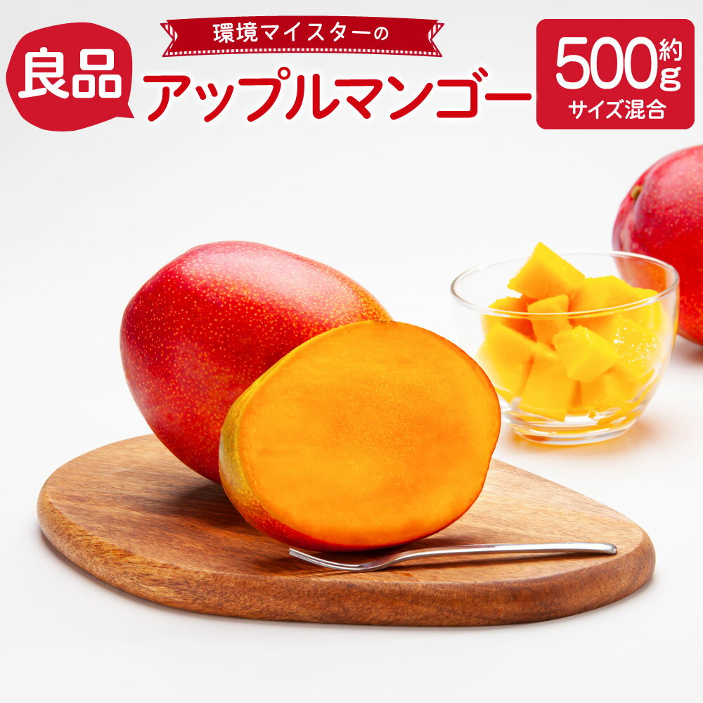 【ふるさと納税】環境マイスターのアップルマンゴー 良品 合計500g 1～2玉 サイズ混合 栽培期間中 無農薬 マンゴー 果物 フルーツ 南国フルーツ 旬 夏 国産 九州産 熊本県産 冷蔵 送料無料【2024年6月下旬発送開始】