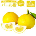 【ふるさと納税】環境マイスターのパール柑 良品 訳あり 混合 約4kg 8玉前後 (栽培期間中は無肥料・農薬不使用) パール柑 グレープフルーツ 柑橘 果物 国...