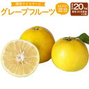 【ふるさと納税】環境マイスターのグレープフルーツ 良品 訳あり 混合 合計約20kg 約10kg×2箱 20玉前後 (栽培期間中は無肥料・農薬不使用) 柑橘 フ...