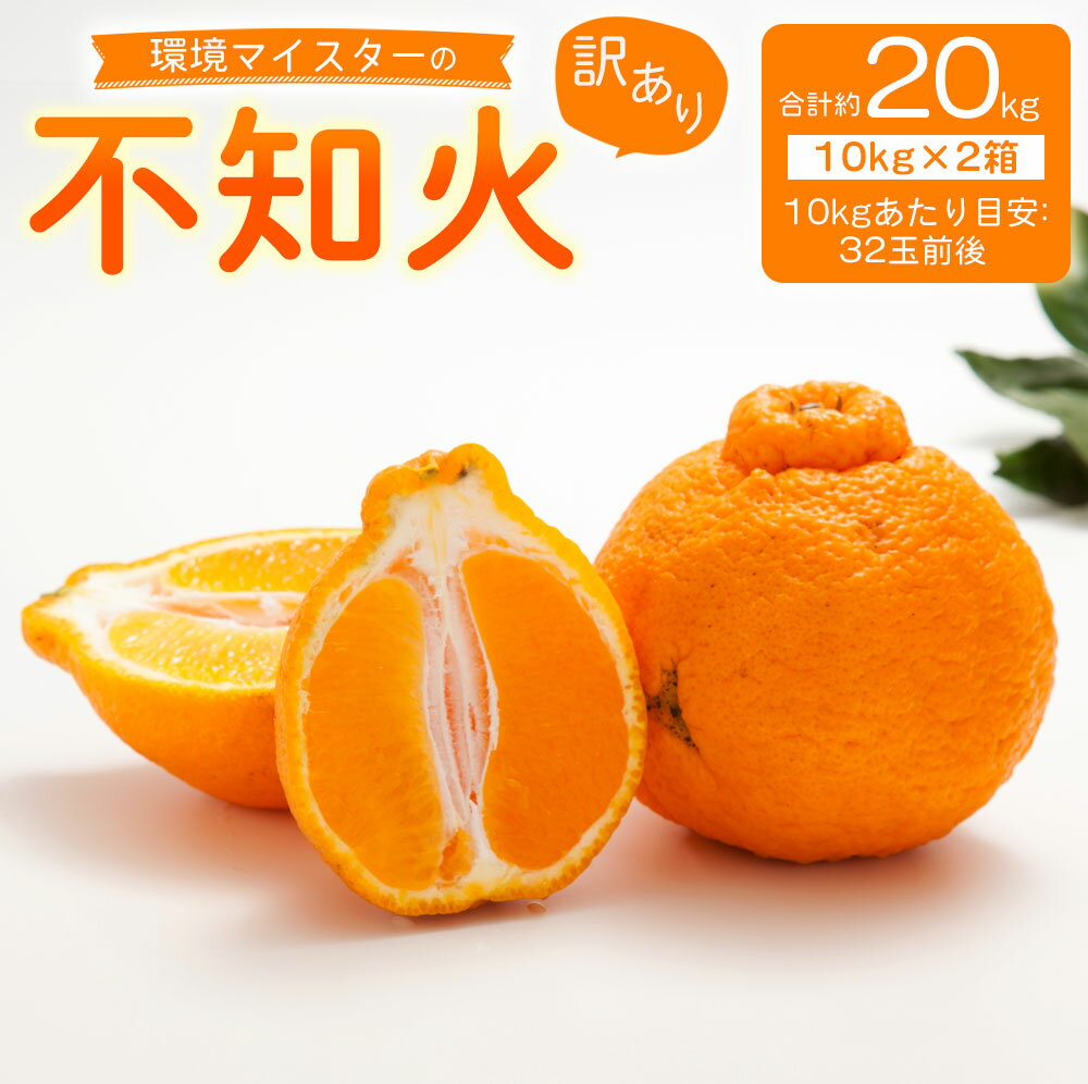 【ふるさと納税】環境マイスターの不知火 訳あり 合計20kg 10kg(32玉前後目安)×2箱 栽培期間中 無肥料 不知火 みかん 蜜柑 ミカン 柑橘 フルーツ 果物 国産 九州産 熊本県産 冷蔵 送料無料