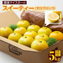 【ふるさと納税】環境マイスターのスイーティー(オロブロンコ) 良品 訳あり 混合 約5kg サイズ混合 環境マイスター スイーティー オロブロンコ グレープフル...