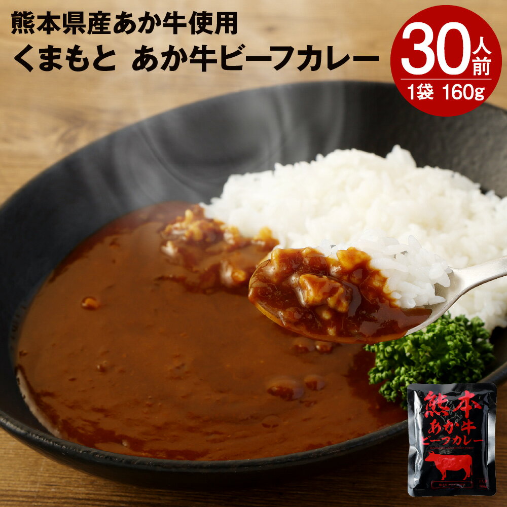 17位! 口コミ数「0件」評価「0」熊本県産あか牛使用 くまもと あか牛ビーフカレー 30人前 合計4800g 1食160g ビーフカレー カレー あか牛 牛肉 ビーフ たまね･･･ 