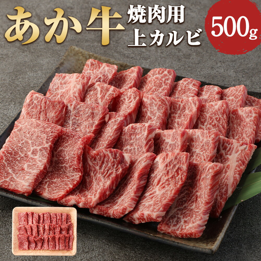 あか牛 焼肉用 上カルビ 500g 牛肉 肉 カルビ 赤牛 焼肉 焼き肉 BBQ 熊本県産 冷凍 送料無料