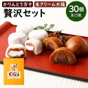 【ふるさと納税】かりんとう万十と生クリーム大福の贅沢セット 各15個 合計30個入り セット 詰合せ 大福 饅頭 かりんとう まんじゅう 和菓子 和スイーツ デザート スイーツ おやつ お菓子 冷凍 国産 九州産 水俣市 お土産 送料無料