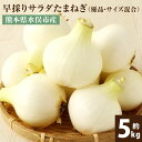 【ふるさと納税】1年に1度だけ!甘くて柔らかい!早採りサラダ玉ねぎ 約5kg 優品 サイズ混合 M~2Lサイズ 玉ねぎ タマネギ 玉葱 サラたま 春 新たまねぎ 国産 熊本県 水俣市産 送料無料 <栽培期間中農薬不使用/熊本県水俣市産/耕人舎>【2026年3月下旬-4月下旬順次発送予定】