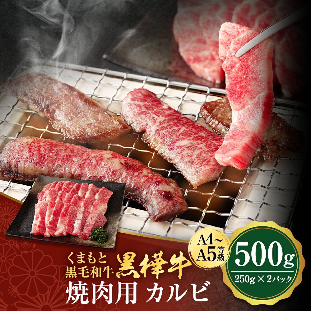 yӂ邳Ɣ[Łz܂ƍјa  A4~A5 ēpJr v500g 250g~2pbN   ~ Ԑg  Ă BBQ јa Y BY F{Y Ⓚ 