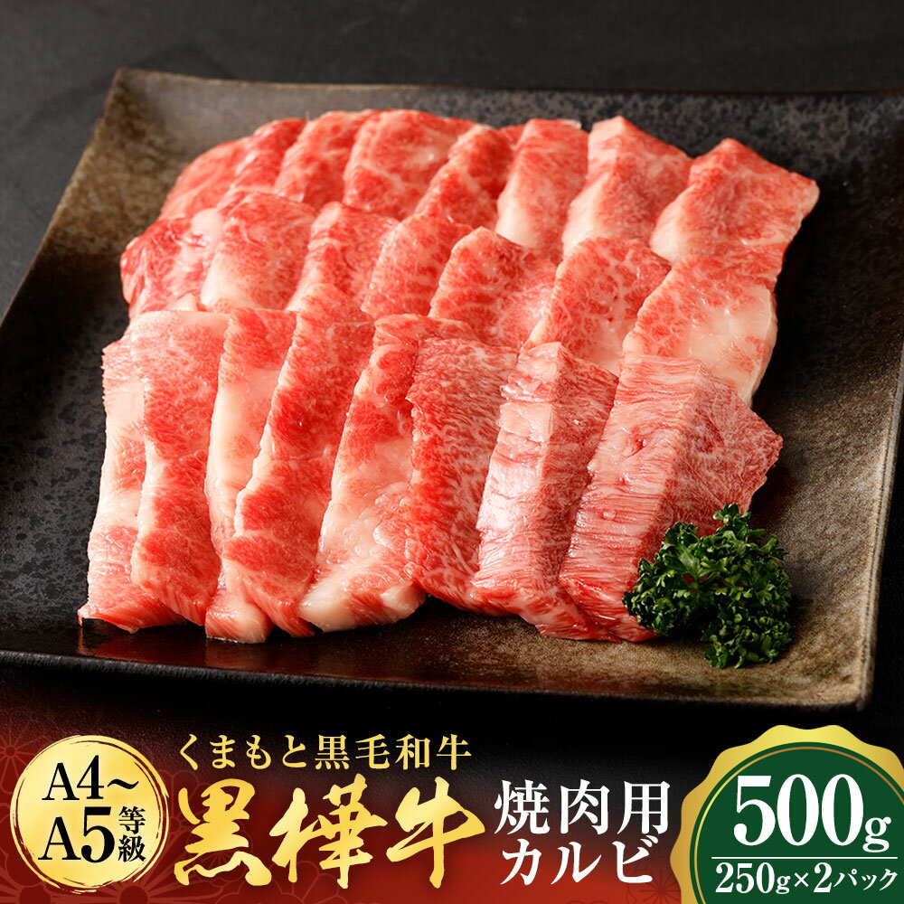 【ふるさと納税】くまもと黒毛和牛 黒樺牛 A4~A5等級 焼肉用カルビ 合計500g 250g×2パック 牛肉 牛 霜降り 赤身 お肉 焼き肉 BBQ 黒毛和牛 国産 九州産 熊本県産 冷凍 送料無料