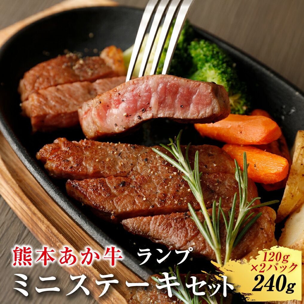 熊本 赤牛ミニステーキ 240g ランプ使用 国産 九州産 熊本県産 希少部位 冷凍 肉 あか牛 和牛 ステーキ 送料無料