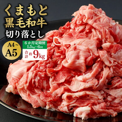 【6ヶ月定期便】 A4～A5等級 くまもと黒毛和牛 切り落とし 合計約9kg 約1.5kg（300g×5パック）×6回 国産 切りおとし 和牛 ブランド牛 牛肉 霜降り 牛丼 肉じゃが 炒めもの カレー 熊本産 熊本県産 水俣 冷凍 送料無料