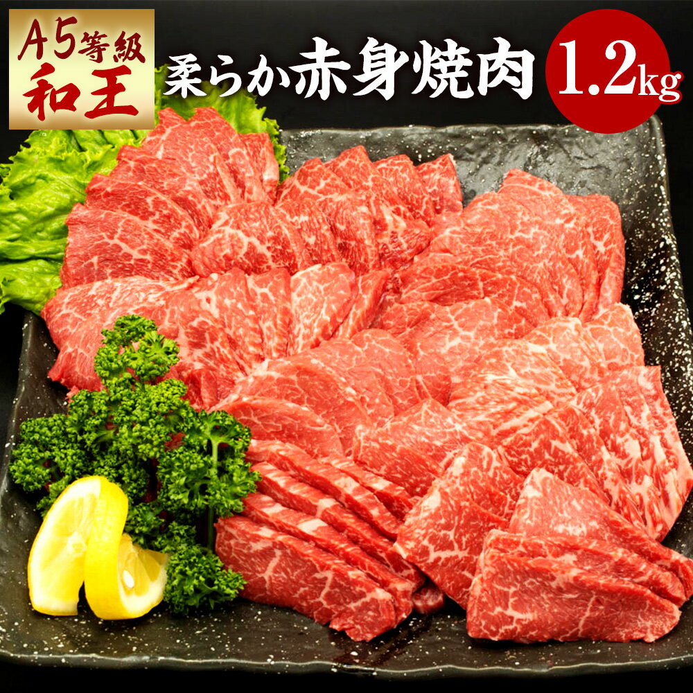 【ふるさと納税】熊本県産 A5等級 和王 柔らか 赤身焼肉 