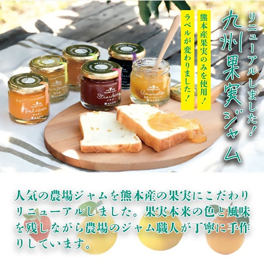 【ふるさと納税】九州果実ジャム詰め合わせ 6種類 120g×12個（各2個） 甘夏マーマレード ブルーベリージャム イチゴジャム デコポンジャム 晩白柚ジャム ゆずマーマレード 果物 くだもの セット 熊本県 水俣市 送料無料