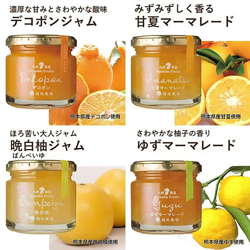 【ふるさと納税】九州果実ジャム詰め合わせ 6種類 120g×12個（各2個） 甘夏マーマレード ブルーベリージャム イチゴジャム デコポンジャム 晩白柚ジャム ゆずマーマレード 果物 くだもの セット 熊本県 水俣市 送料無料