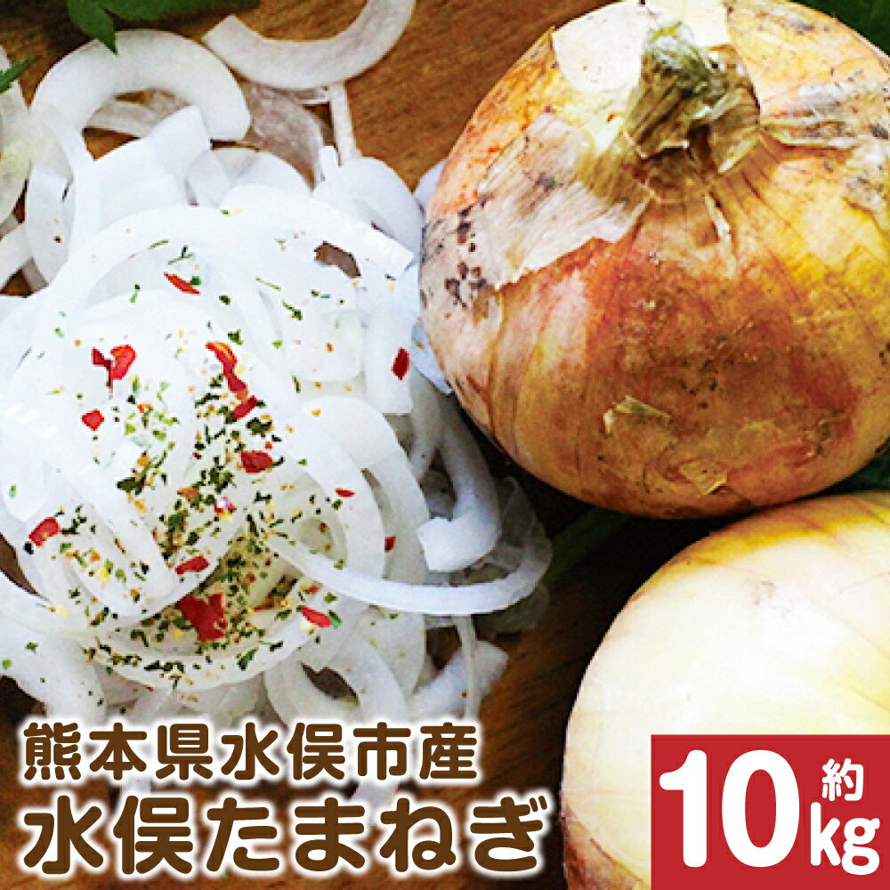 27位! 口コミ数「0件」評価「0」水俣サラダ玉ねぎ たまねぎ 玉葱 サラダ 約10kg 野菜 熊本県産 水俣市産 送料無料【2024年4月下旬発送開始】