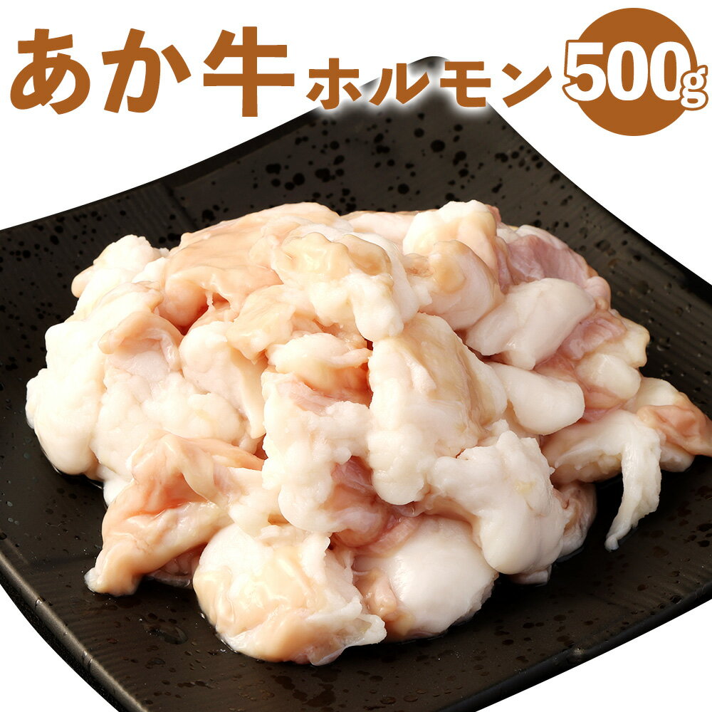 あか牛 ホルモン 合計500g 250g×2パック あかうし ホルモン 小腸 牛ホルモン もつ 熊本県産 九州産 国産 冷凍 送料無料