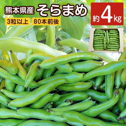 そらまめ 約4kg 3粒以上 80本前後 そら豆 ソラマメ 空豆 野菜 やさい ベジタブル ゆでまめ おつまみ 国産 九州産 熊本県産 水俣市産 送料無料【2024年4月上旬発送開始】