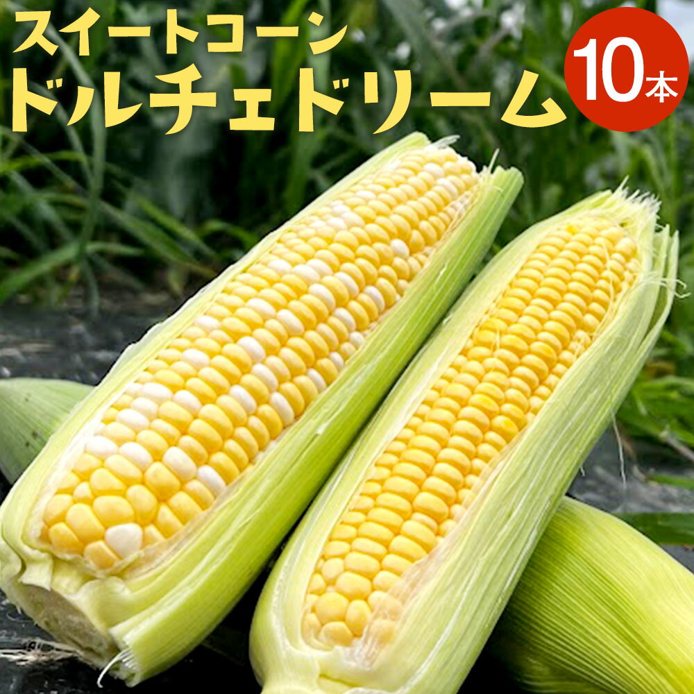 スイートコーン ドルチェドリーム 約4.5kg(10本) とうもろこし トウモロコシ 野菜 やさい ベジタブル メロンより甘い 生でも食べられる 朝獲れ 新鮮 冷蔵 国産 九州産 熊本県産 水俣市産 送料無料[2024年6月上旬より順次発送]