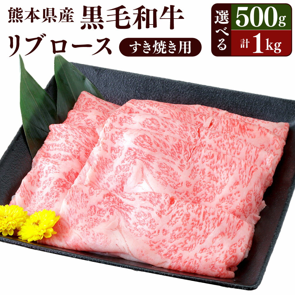 熊本県産 黒毛和牛 すき焼き用 リブロース [選べる容量] 約500g または 約1kg(約500g×2) お肉 肉 牛肉 和牛 すき焼き すきやき 鍋 国産 熊本県 水俣市 送料無料