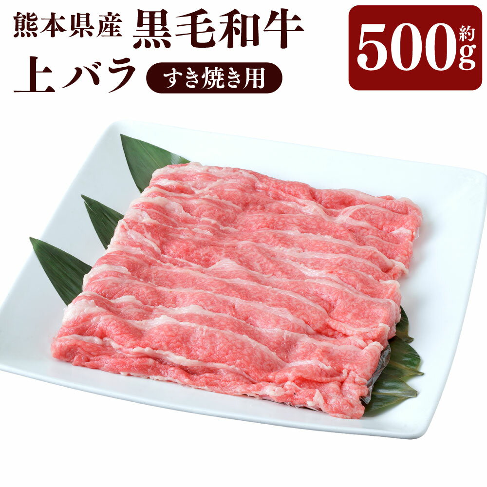 熊本県産 黒毛和牛 すき焼き用 上バラ 約500g お肉 肉 牛肉 和牛 バラ肉 ばら肉 すきやき 鍋 国産 熊本県 水俣市 送料無料