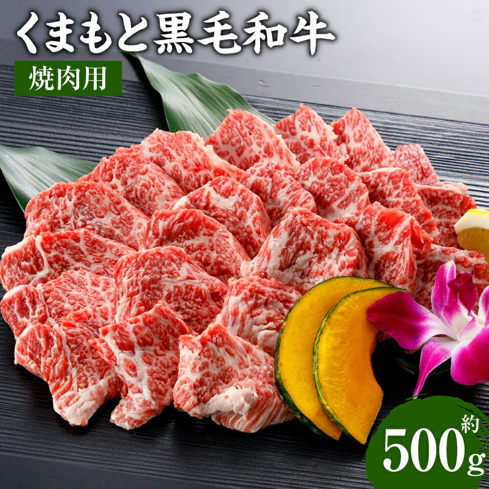 くまもと黒毛和牛 焼肉用 500g 牛肉 和牛 肉 お肉 バーベキュー BBQ 焼き肉 国産 九州 熊本県 冷凍 送料無料