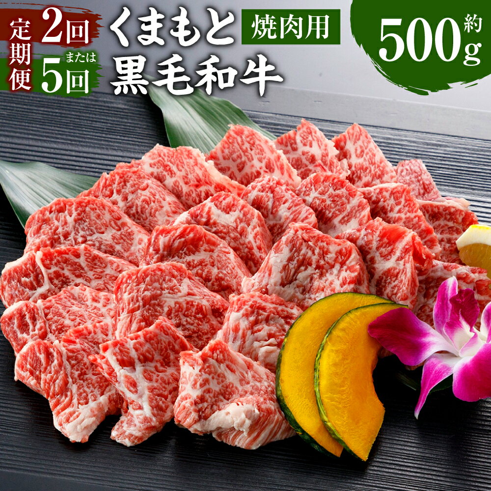 [定期便] くまもと黒毛和牛 焼肉用 500g 定期便 2回 合計1kg または 5回 合計2.5kg 牛肉 和牛 肉 お肉 バーベキュー BBQ 焼き肉 国産 九州 熊本県 冷凍 送料無料