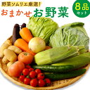 【ふるさと納税】野菜ソムリエ厳選！ おまかせお野菜 8品セッ